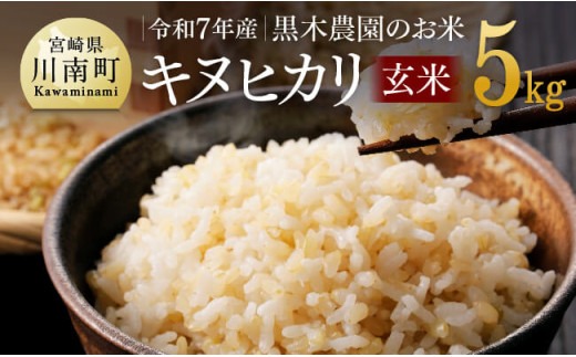 【令和7年産】 黒木農園のお米 「キヌヒカリ(玄米)」 5kg 【 米 お米 玄米 国産 宮崎県産 きぬひかり おにぎり 】 [D03221]