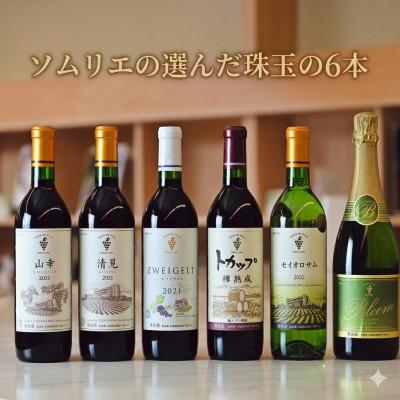 ふるさと納税 池田町 十勝ワインソムリエの選んだ珠玉の6本セレクト |  | 01