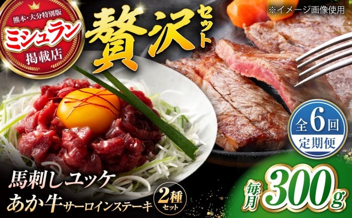 
            【全6回定期便】くまもとあか牛サーロインステーキと厳選馬刺しユッケ贅沢セット 計約300g【有限会社 スイートサプライなかぞの】 [ZBV095]
          