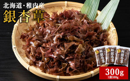 【稚内ブランド認定品】稚内産　天然銀杏草100g×3袋(急速生冷凍)【配送不可地域：離島・沖縄県】