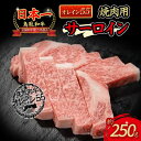 【ふるさと納税】鳥取和牛 オレイン55 サーロイン 焼肉用 国産 牛肉 肉 和牛 サーロイン 焼き肉 黒毛和牛