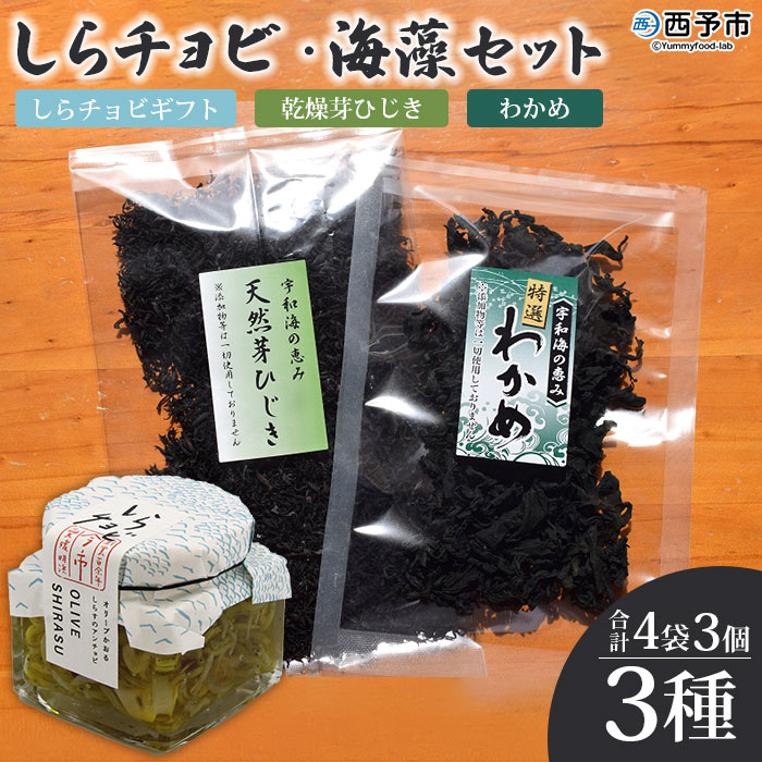 【ふるさと納税】＜しらチョビ 海藻セット＞ しらす シラス 魚 芽ひじき わかめ オイル漬け アンチョビ しらちょび ご飯のお供 パスタ おつまみ 加工品 贈答 ギフト 手土産 贈り物 特産品 今市水産 愛媛県 西予市 【常温】『1か月以内に順次出荷』