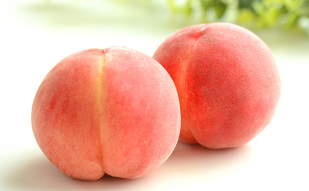 ☆フルーツ王国山形☆白桃 秀品 3kg [かたい桃] 【令和6年産先行予約】FS23-824