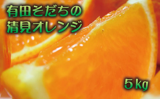有田育ちの完熟清見オレンジ(ご家庭用)　5kg+200g(補償分)【2027年2月下旬～5月上旬頃に順次発送予定】【ard017C】