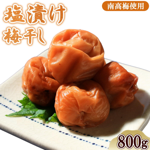 うめぼし 800g（塩）《30日以内に出荷予定(土日祝除く)》熊本県 葦北郡 津奈木町 梅 梅干し 天日干し みのり農園