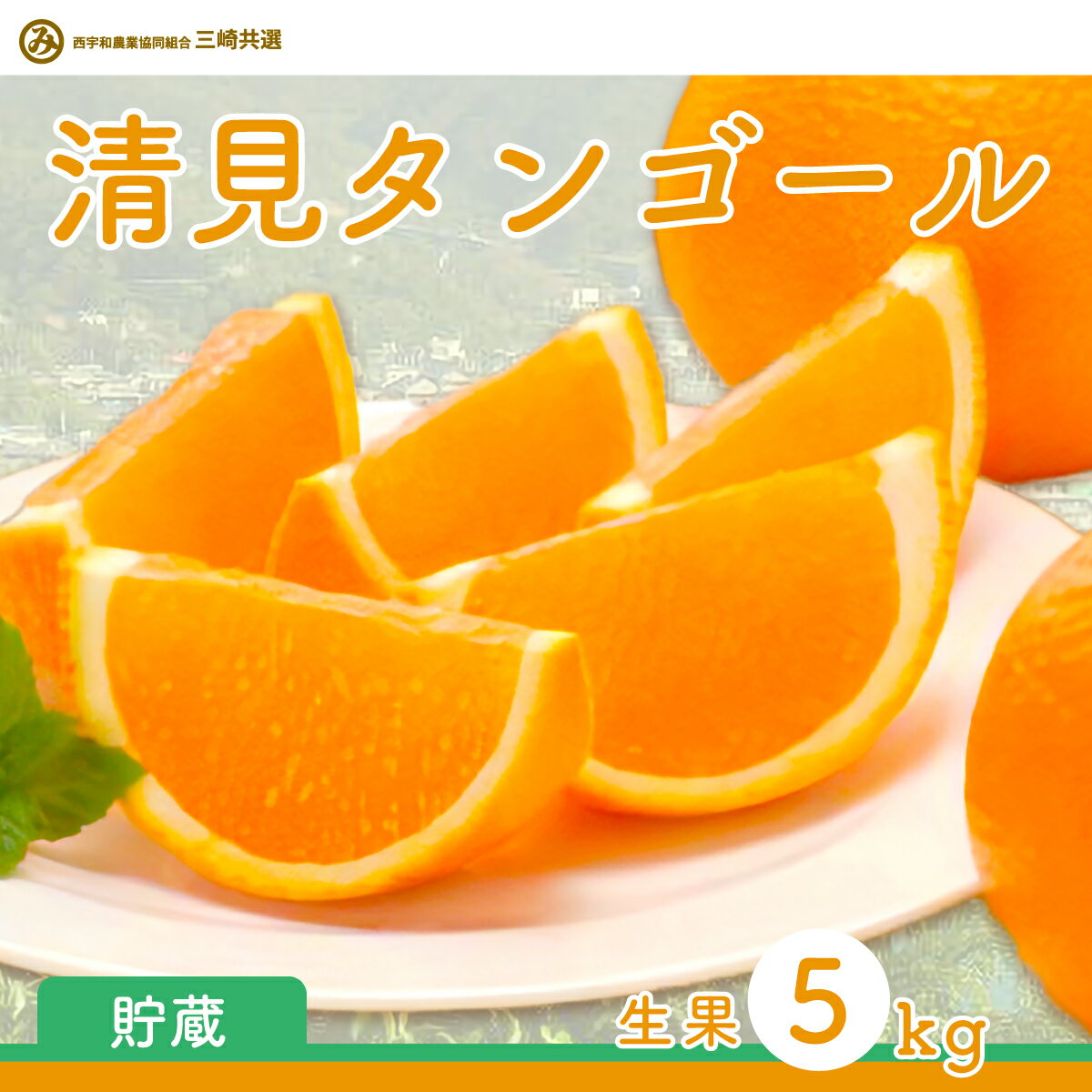 【ふるさと納税】【先行予約】清見タンゴール（貯蔵・生果5kg）※離島への配送不可（2026年4月下旬より順次発送予定）【 ふるさと納税 人気 おすすめ ランキング 柑橘 みかん ミカン 清見 清見タンゴール 蜜柑 果物 フルーツ 愛媛県産 愛媛県 伊方町 送料無料 】 IKTBD007