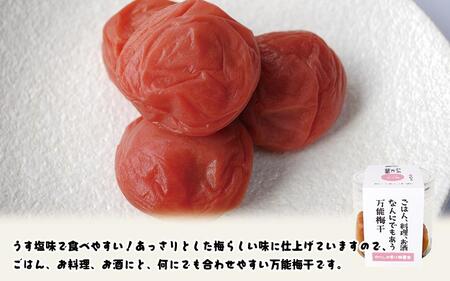 ちょうどいい梅干セット 【味わいセット】各90ｇ×6種 （約4～5粒入） A-139