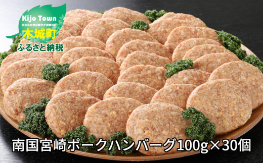 
＜南国宮崎ポークハンバーグ100g×30個＞ K16_0023_2
