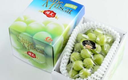 岡山県産 シャインマスカット 晴王 約600g（1房） 果物 フルーツ くだもの ぶどう ブドウ 葡萄 マスカット 種なし 種無し 冷蔵 国産 奈義町 【2026年7月上旬～8月下旬発送予定】