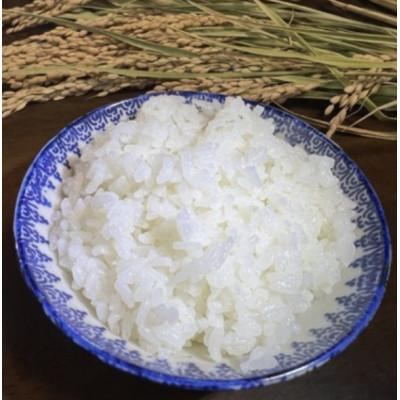 ふるさと納税 多古町 【毎月定期便】たこまいらいふ萩原農場の多古米コシヒカリ(精米)5kg全3回 |  | 01