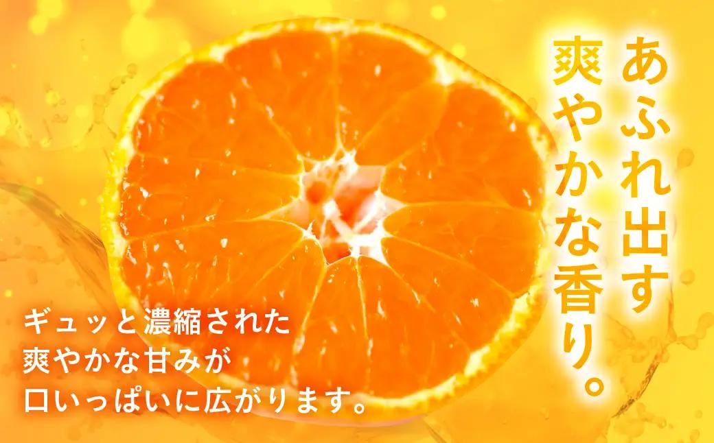 【先行予約】伊良湖 温室みかん 2kg みかん フルーツ