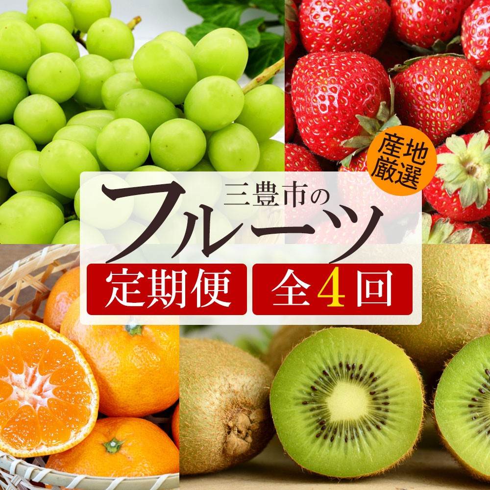 
            【ふるさと納税】【4回定期便】シャインマスカット入り 旬のフルーツ定期便(さぬきキウイっこ)
          