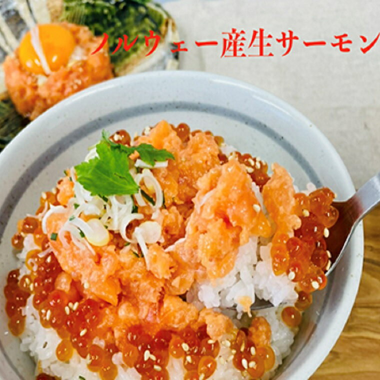 【ふるさと納税】ノルウェー産 サーモン たたき ネギトロ 800g（200g×4パック） 小分け サーモン たたき 加工品 和食 洋食 海鮮丼 食品 魚 冷凍 送料無料