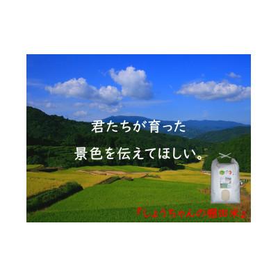 ふるさと納税 多久市 【毎月定期便】『しょうちゃんの棚田米。』栽培期間中農薬使用なし 玄米5kg×全5回 |  | 02