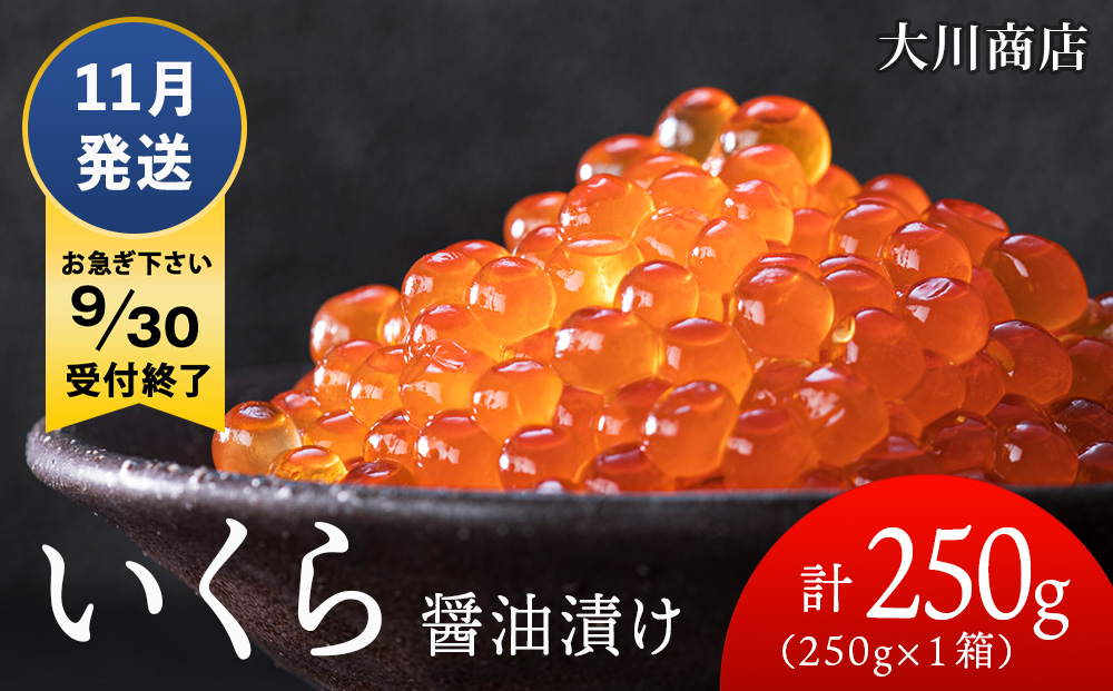 ≪11月発送≫いくら醤油漬け250g1箱＜大川商店＞