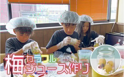 カラフル梅ジュースづくり体験ペアチケット iwasho011