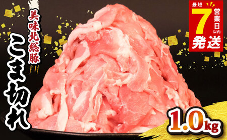 千葉県産 豚肉 小間切れ 約1kg 小間切れ