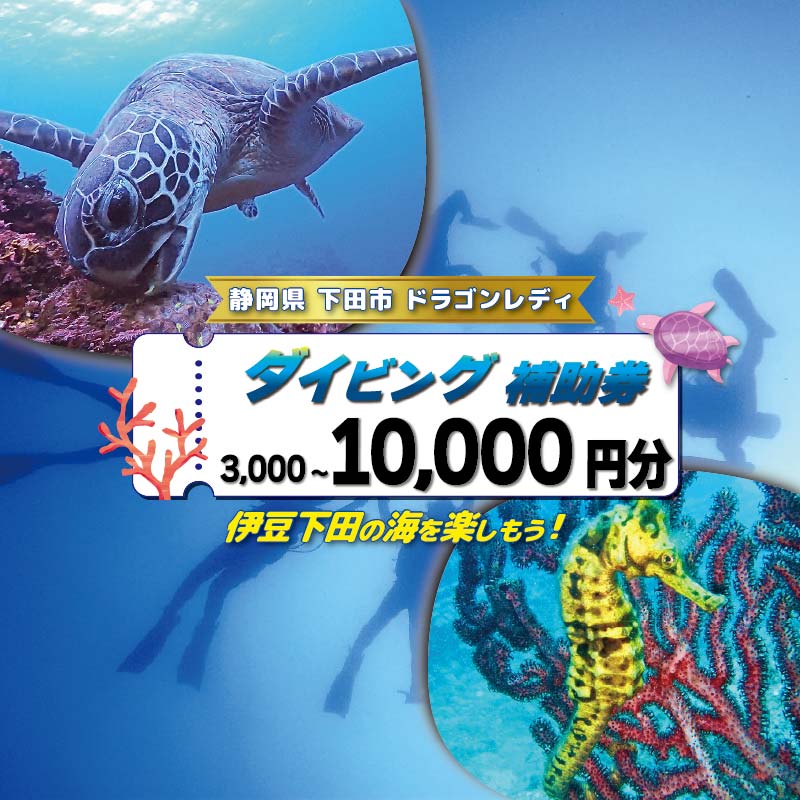 【ふるさと納税】 ダイビング 補助券 選べる 3,000円 5,000円 10,000円 優待券 下田 体験 海 アウトドア スポーツ アクティビティ マリンスポーツ レジャー 旅行 観光 夏休み お盆 GW 冬休み 春休み ギフト 券 白浜 ホテル伊豆急 内 ドラゴンレディ 静岡県