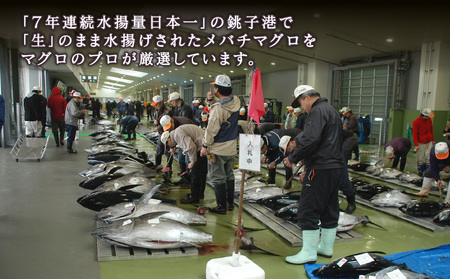 銚子港水揚げ 生メバチマグロ(刺身用サク)300グラム程度 ※沖縄県、離島への発送不可 ※発送日・曜日指定不可 銚子港マグロ 銚子マグロ ちょうしマグロ チョウシマグロ マグロ 水揚げマグロ 銚子港水