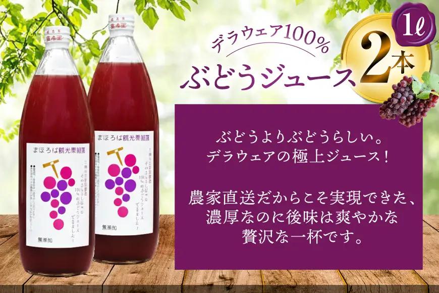 無添加 100% ぶどう ジュース 1L 2本 セット