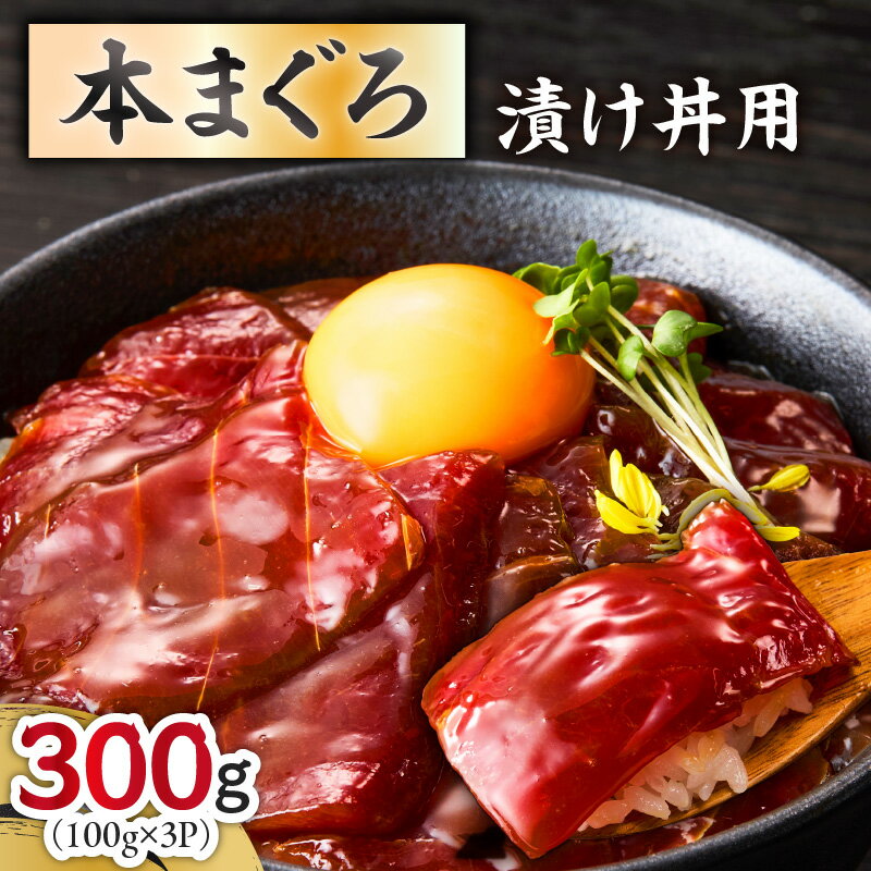 【ふるさと納税】＜選べる配送時期＞ 本まぐろ漬け丼用 100g × 3P まぐろ マグロ 鮪 本まぐろ 漬け丼 三崎 三崎港 海鮮 魚 魚介 湊魚問屋 神奈川 三浦市 おすすめ ランキング プレゼント ギフト