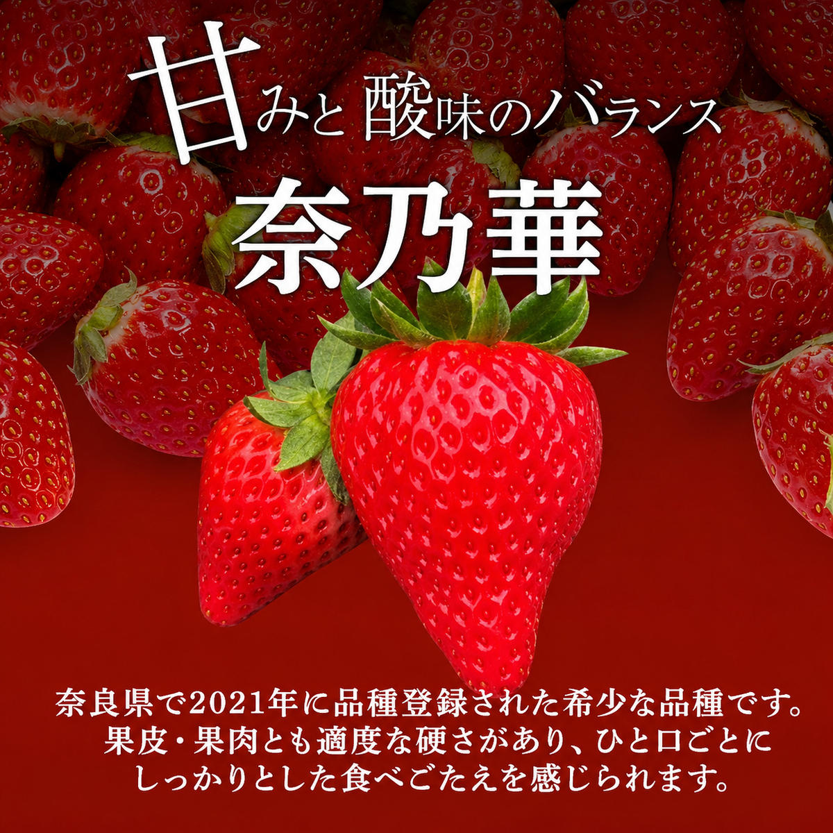 先行予約 いちご 奈良県産 奈乃華 約1620g 270g×6パック 今西さん家の奈良いちご 冷蔵配送 なのか フルーツ 果物 旬 糖度 産地直送 農家直送 お取り寄せ おやつ デザート 苺 冷蔵  