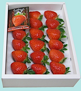 さぬきひめいちご 約400g化粧箱入り(12~18粒)【予約受付中:令和7年12月より発送】【L-39】