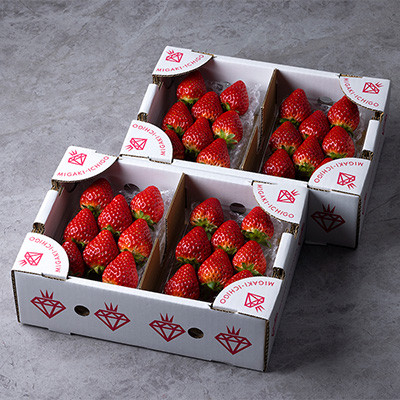 
            ＜毎月定期便＞ミガキイチゴ・レギュラー(250g×4P)全3回【4061513】
          