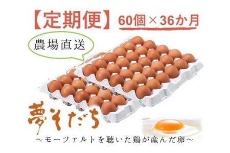 B-4【36か月定期便】「夢そだち60個」厳選飼料を食べて育った自社養鶏場の新鮮卵を♪