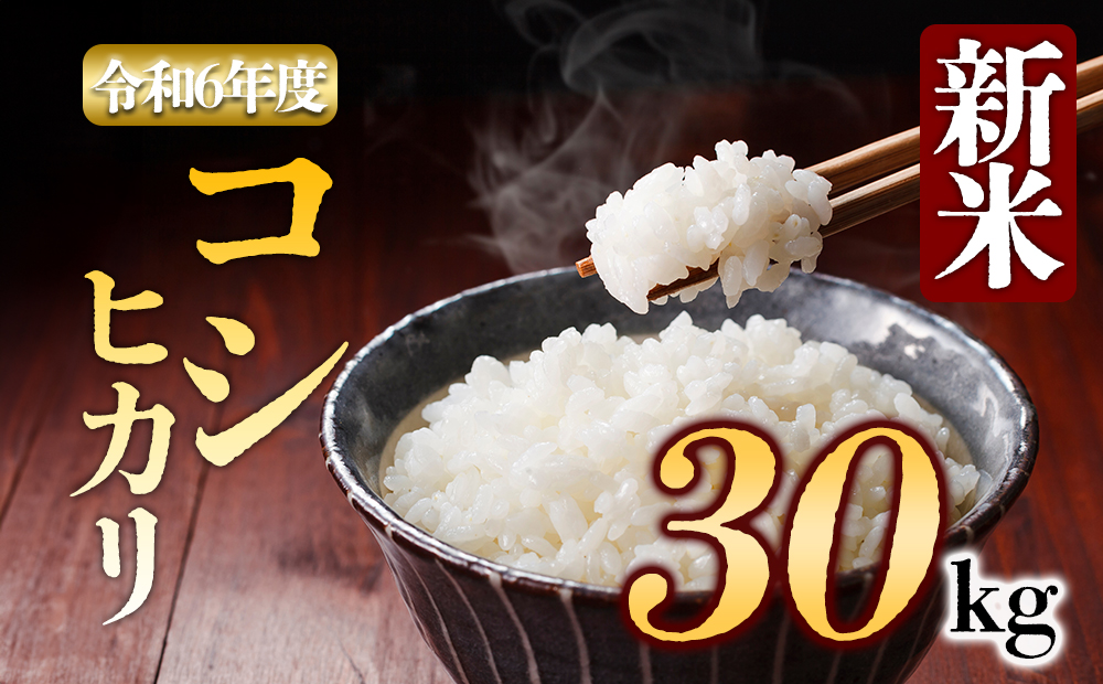 【令和6年度】 アグロスタイルの新米　(コシヒカリ）白米 30kg お米 米 熊本県 阿蘇市