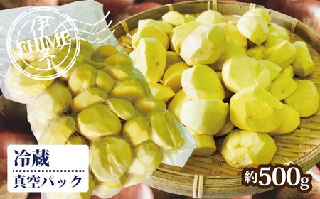 【2026年先行予約】栗 むき栗 約500g 【2026年9月下旬以降発送予定】 旧中山町産  数量限定 生栗 濃厚な甘み ホクホク 焼き栗 栗ごはん 伊予市 愛媛県｜B468