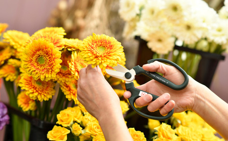 生花はさみ ハンドクリエーションF170 ライムグリーン 花ハサミ 園芸ハサミ 生花用 園芸用品 ガーデニング用品 [坂源] 【010S379】