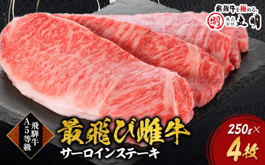 
                  ＜最飛び雌牛＞飛騨牛A5等級サーロインステーキ　250g×4枚【1520146】
                