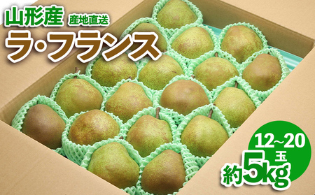 山形産 ラ・フランス 約5kg FZ23-587