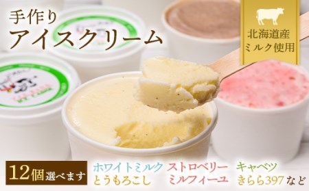 北海道 手作りアイスクリーム 120ml×12個セット (お好み詰め合わせ)  南幌町 アイスクリーム アイスクリーム アイスクリーム アイスクリーム アイスクリーム NP1-024