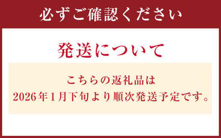【先行予約】 愛媛県産 ぽんかん 2kg（10～14個） ポンカン 果物 フルーツ 【2026年1月下旬～2月下旬】（876）