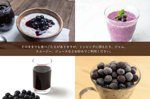 ＼先行予約・数量限定／益子町産 冷凍ブルーベリー 1㎏ フルーツ 果物 (AA020-1)