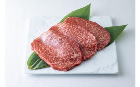 伊万里牛 赤身 ステーキ 1.0kg （100g×10枚） ソース付 007-J731