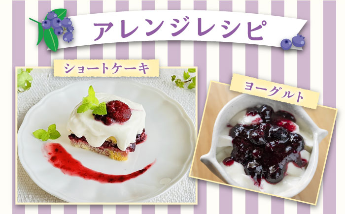 【先行予約受付中】築上町産 冷凍 ブルーベリー 1kg 【2025年9月以降順次発送】《築上町》【(有)工房よしかわ】国産 ブルーベリー [ABAK001] 13000円 1万3千円