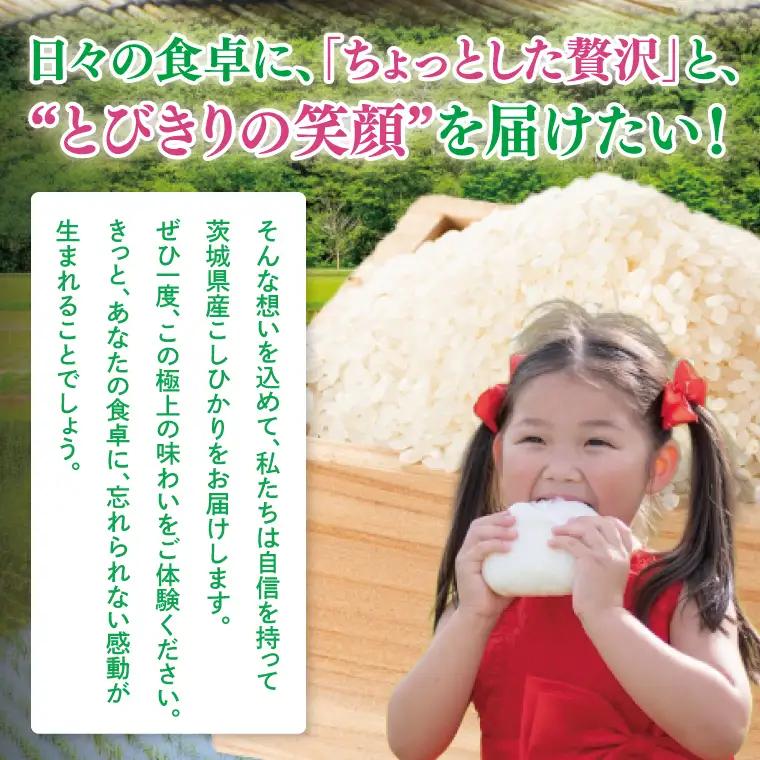 【10月より順次発送】【数量限定】 令和8年産 【6ヶ月定期便】美味追求 茨城県産こしひかり 30kg（5kg×6）×6回 (NA-12)