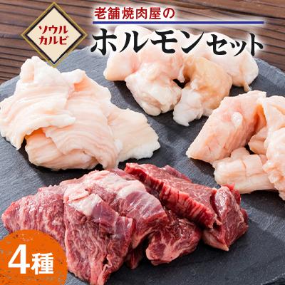 ふるさと納税 岡崎市 老舗焼肉屋のホルモンセット600g(150g×4種類)3〜4人前