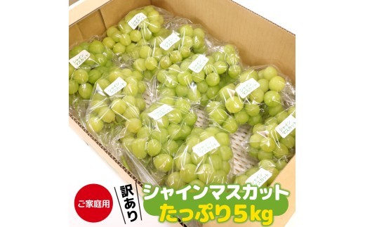 【先行予約】 《ご家庭用》令和8年産 訳ありシャインマスカット たっぷり５kg （8～12房）山形県産 2026年産 【2026年9月上旬頃～10月中旬頃発送予定】※配送不可 沖縄・離島　034-B-HK025