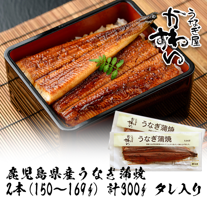 【7営業日以内に発送！】＜うなぎ屋かわすい＞鹿児島県産 国産うなぎ蒲焼 (計300g以上 / 1本あたり150～169g×2本) タレ入り 鰻 うな重 かばやき【川口水産】A854