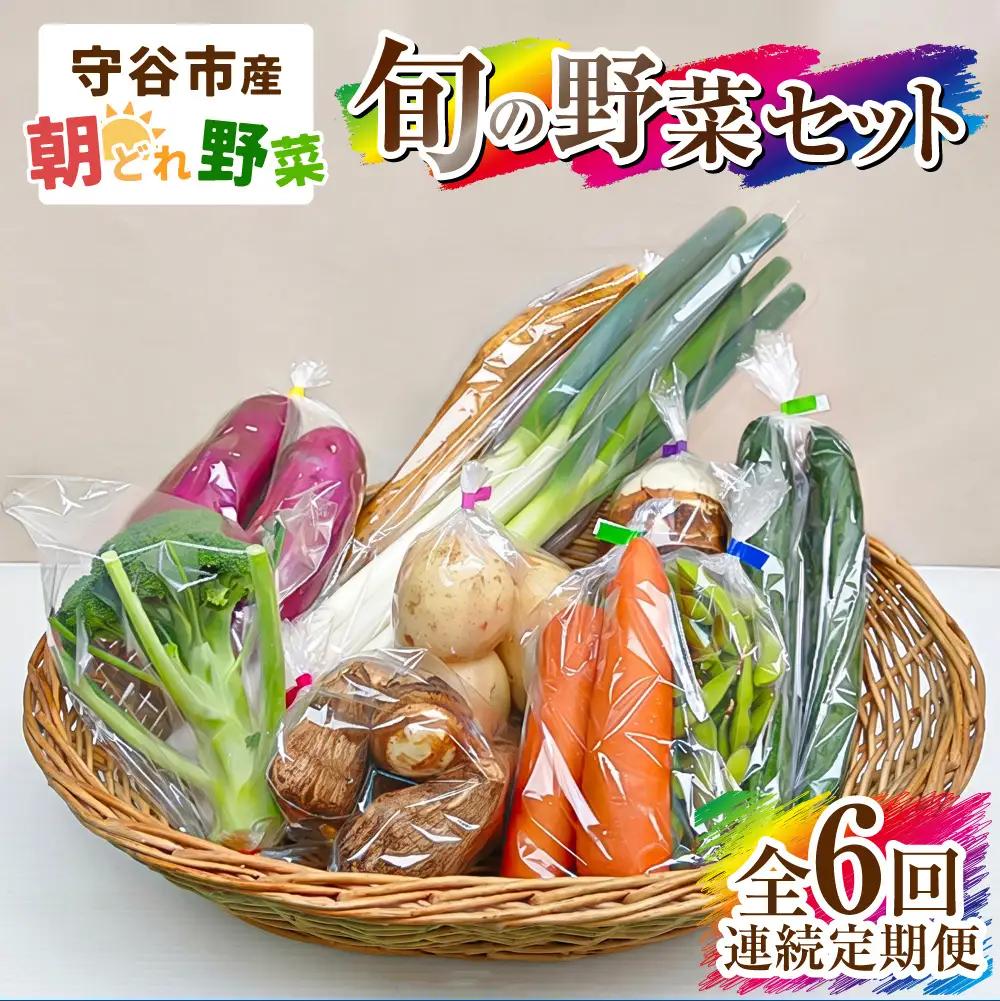 【定期便 6回】【毎月お届け】守谷市産 旬の野菜セット | 野菜 国産 冷蔵 定期
