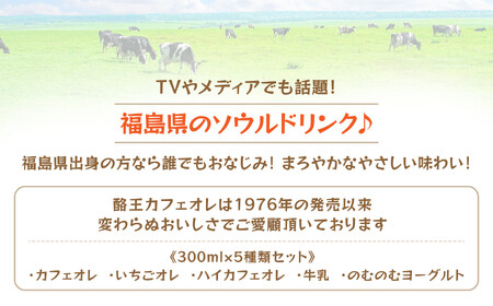 酪王カフェオレ バラエティ 15本セット 5種類 （300ml×各3本） カフェオレ セット バラエティ いちご ヨーグルト ｜ 酪王 詰め合わせ 牛乳 生乳 ミルク のむヨーグルト コーヒー 珈琲 