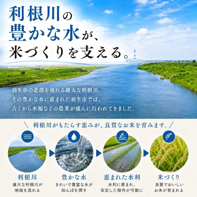 新米 米 5kg 無洗米 彩のきずな 白米 令和8年度産 無洗米