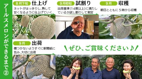 季節限定 ！ 甘さ満点 アールス メロン 3玉 入箱 【2024年8月下旬発送開始】 先行予約 果物 フルーツ 農家直送 産直 青肉メロン 特産品 マスクメロン [BC044sa]