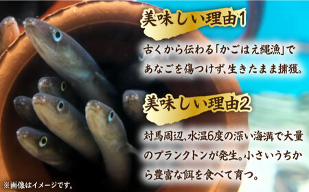 【全2回定期便】骨まで食べる 白焼き あなご （5袋）【うえはら株式会社】穴子 白焼 海鮮 国産 フワフワ 魚介 特産物[WAI117]