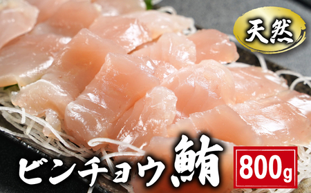 ビンチョウまぐろ 切身 約800g 鮪鮪鮪鮪ﾏｸﾞﾛﾏｸﾞﾛﾏｸﾞﾛ