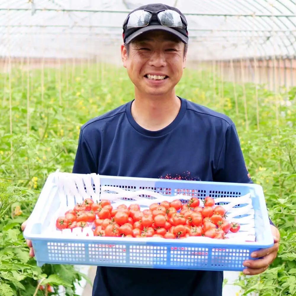 黄色いチェリートマトジュース180ml×5本入 島根県松江市/有限会社安藤農園[ALID003]